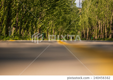 A dramatic low-angle perspective of an empty road flanked by tall green trees A dramatic low-angle perspective of an empty road flanked by tall green trees 140456382