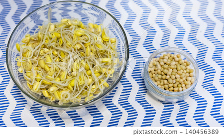 Soybean sprout is a culinary vegetable grown by sprouting soybeans. Soybean sprout is a culinary vegetable grown by sprouting soybeans. 140456389