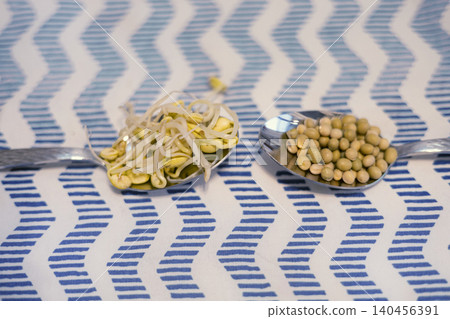 Soybean sprout is a culinary vegetable grown by sprouting soybeans. 140456391