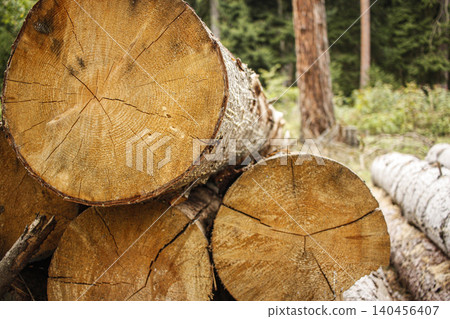 A pile of stacked firewood. Cut tree logs. Lumber. A pile of stacked firewood. Cut tree logs. Lumber. 140456407