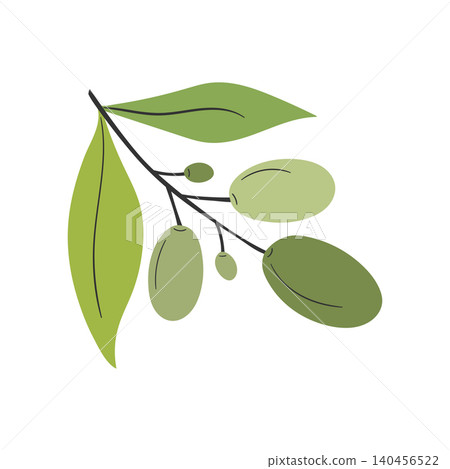 Hand drawn olive branch isolated on white background. Vector illustration Hand drawn olive branch isolated on white background. Vector illustration 140456522