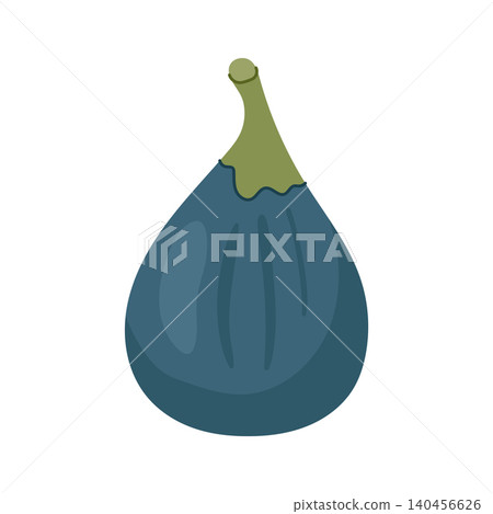 Hand drawn whole purple fig fruit vector illustration isolated Hand drawn whole purple fig fruit vector illustration isolated 140456626