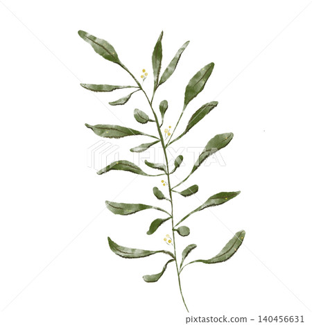 Watercolor Green Leaves Branch Clip Art, Isolated Digital Botanical Illustration png Watercolor Green Leaves Branch Clip Art, Isolated Digital Botanical Illustration png 140456631