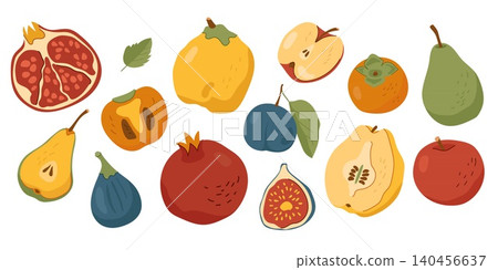 Autumn fruits collection hand drawn vector set isolated on white background Autumn fruits collection hand drawn vector set isolated on white background 140456637