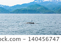 Wild fin whales in Shiretoko, a World Heritage Site. 140456747