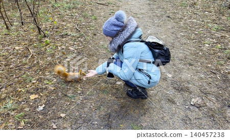 Young girl feeding cute rodent nuts at autumn woodland. Wild fluffy squirrel taking nuts from female arm and gnawing it at forest. Cute rodent eating food from hand outdoor. Slow motion Young girl feeding cute rodent nuts at autumn woodland. Wild fluffy squirrel taking nuts from female arm and gnawing it at forest. Cute rodent eating food from hand outdoor. Slow motion 140457238