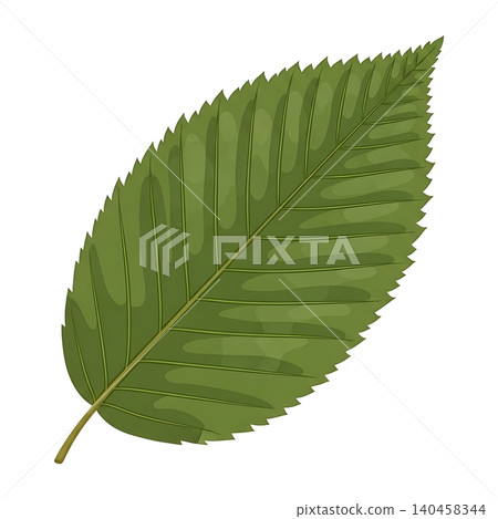Green Chestnut Leaf Serrated Flat Vector Illustration 140458344