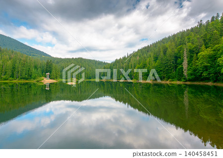 landscape by the lake on cloudy morning. coniferous forest near the lake and the forest mountain. awesome summer view of carpathian mountain reflection on synevr lake water surface. clean environment landscape by the lake on cloudy morning. coniferous forest near the lake and the forest mountain. awesome summer view of carpathian mountain reflection on synevr lake water surface. clean environment 140458451
