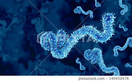 Bundibugyo Ebola virus strain 140458476