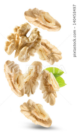 Walnuts fly part kernel in closeup on white background Walnuts fly part kernel in closeup on white background 140458497
