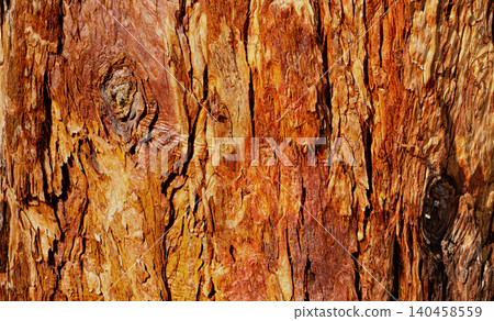 Tree trunk bark showing textured weathered pattern background 140458559