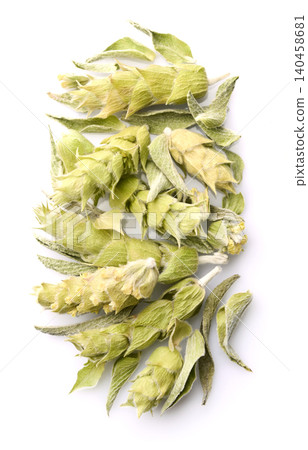 Mountian tea. Greek mountain tea sideritis Mountian tea. Greek mountain tea sideritis 140458681