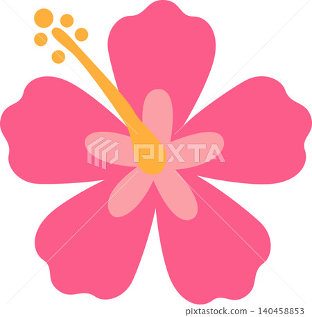 Pink Hibiscus Flower With Yellow Stamen on a White Background Pink Hibiscus Flower With Yellow Stamen on a White Background 140458853