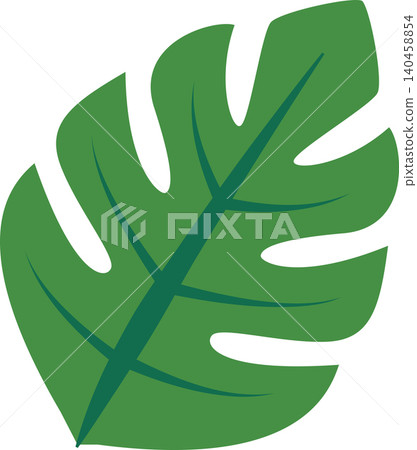 Large Green Leaf With Distinct Shapes and Lines on a Light Background Large Green Leaf With Distinct Shapes and Lines on a Light Background 140458854