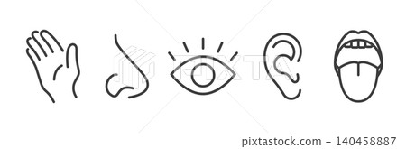 smell hearing touch taste sight icon set, five human senses icons, nose, eye, simple symbols, hand, ear, mouth linear vector illustration, outline images smell hearing touch taste sight icon set, five human senses icons, nose, eye, simple symbols, hand, ear, mouth linear vector illustration, outline images 140458887