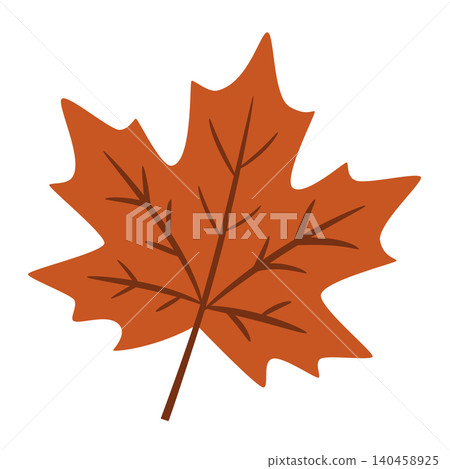 Colorful Autumn Leaf on a White Background Showing Fine Details of Its Shape and Texture 140458925