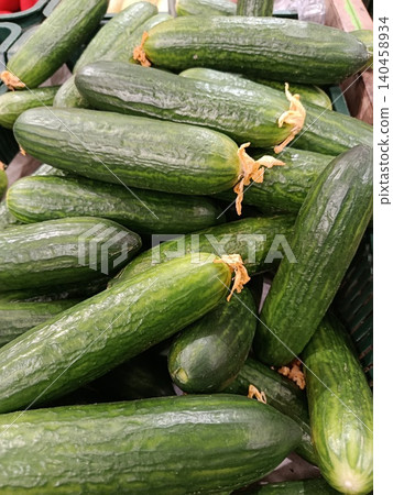 Fresh green cucumbers piled high in a retail bin, showcasing healthy, organic produce for sale, representing nutrition, vegetarian food, and market abundance Fresh green cucumbers piled high in a retail bin, showcasing healthy, organic produce for sale, representing nutrition, vegetarian food, and market abundance 140458934