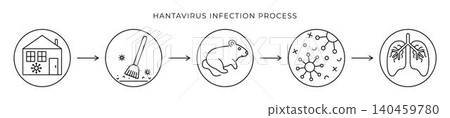 Hantavirus infection process, infographics black line vector icons. Outline round signs Hantavirus infection process, infographics black line vector icons. Outline round signs 140459780