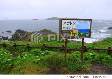 須古頓岬(北海道禮文町) 須古頓岬(北海道禮文町) 140459882