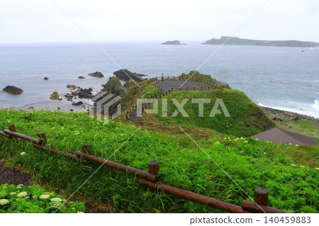 須古頓岬(北海道禮文町) 須古頓岬(北海道禮文町) 140459883