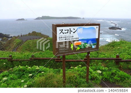 須古頓岬(北海道禮文町) 須古頓岬(北海道禮文町) 140459884