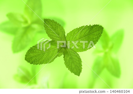 Close-up and overhead view of herbs Close-up and overhead view of herbs 140460104