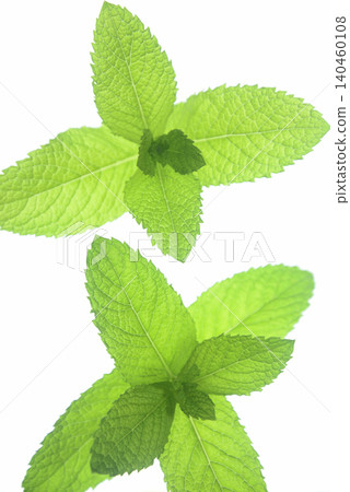 Close-up and overhead view of herbs Close-up and overhead view of herbs 140460108
