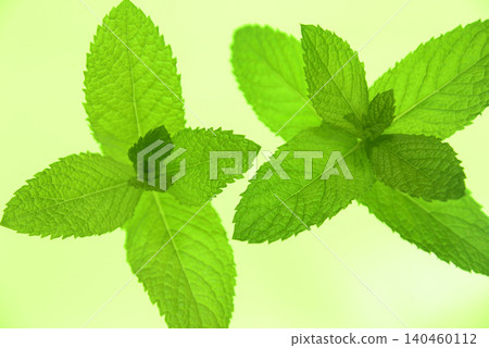 草藥的特寫和俯視圖 140460112