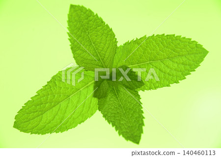 草藥的特寫和俯視圖 140460113