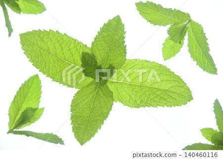 Close-up and overhead view of herbs Close-up and overhead view of herbs 140460116
