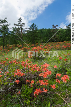 Moromori plateau of early summer hot water Moromori plateau of early summer hot water 140460133