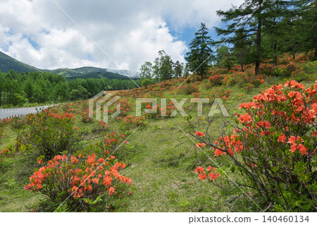Moromori plateau of early summer hot water Moromori plateau of early summer hot water 140460134