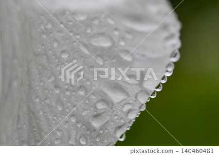 Shimmering water drops Shimmering water drops 140460481