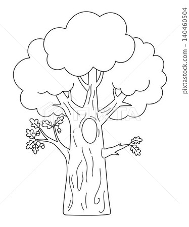 Vector black and white cartoon oak icon. Garden, forest, woodland line tree with acorns, trunk, hollow, leaves. Outline spring, farm plant illustration. Natural greenery picture, coloring page Vector black and white cartoon oak icon. Garden, forest, woodland line tree with acorns, trunk, hollow, leaves. Outline spring, farm plant illustration. Natural greenery picture, coloring page 140460504