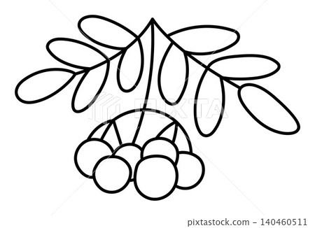Vector black and white cartoon rowan berries twig clipart. Woodland, forest, garden brunch plant line icon isolated on white background. Forest nature berry illustration, coloring page Vector black and white cartoon rowan berries twig clipart. Woodland, forest, garden brunch plant line icon isolated on white background. Forest nature berry illustration, coloring page 140460511