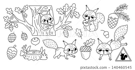 Cartoon vector squirrels black and white set. Forest animals collection for kids. Vector cute woodland characters with cones, acorns clipart. Woods wildlife line illustration, coloring page Cartoon vector squirrels black and white set. Forest animals collection for kids. Vector cute woodland characters with cones, acorns clipart. Woods wildlife line illustration, coloring page 140460545