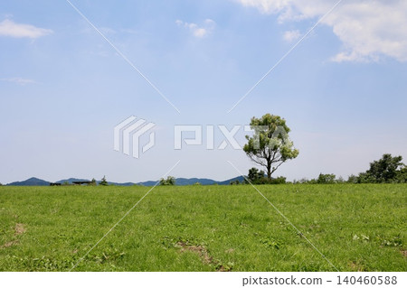 一棵樹孤零零地生長在廣闊的草原上。藍天白雲,留白充足。自然風光。 一棵樹孤零零地生長在廣闊的草原上。藍天白雲,留白充足。自然風光。 140460588
