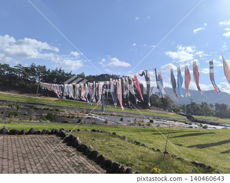 Numerous carp streamers lined up along the Momogawa River in Suzaka City, Nagano Prefecture, against the clear spring sky. Numerous carp streamers lined up along the Momogawa River in Suzaka City, Nagano Prefecture, against the clear spring sky. 140460643