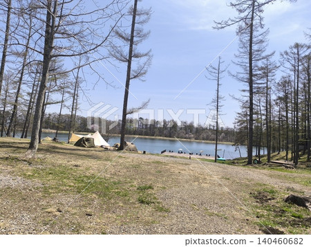 [Iizuna Plateau] Lakeside Campsite and Tents at Ozahoshi Pond, surrounded by larch forests 140460682