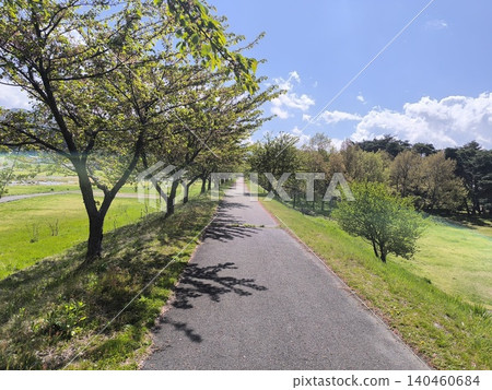 A single road leading along the embankment of Momogawa Green Space in Suzaka City, Nagano Prefecture, and a landscape of cherry trees in their fresh green leaves. A single road leading along the embankment of Momogawa Green Space in Suzaka City, Nagano Prefecture, and a landscape of cherry trees in their fresh green leaves. 140460684