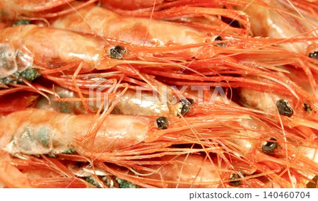 Fresh and delicious-looking sweet shrimp, a specialty of Haboro Town in northern Hokkaido. Fresh and delicious-looking sweet shrimp, a specialty of Haboro Town in northern Hokkaido. 140460704