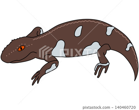 A stylized illustration of Eryops from the Permian period. A stylized illustration of Eryops from the Permian period. 140460720