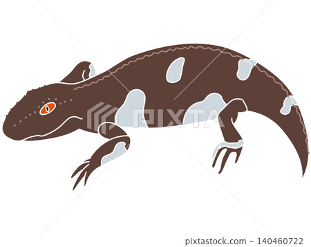 A stylized illustration of Eryops from the Permian period. A stylized illustration of Eryops from the Permian period. 140460722