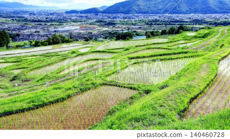 Rice planting has finished in the terraced rice fields of Obasute. Rice planting has finished in the terraced rice fields of Obasute. 140460728