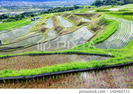 Rice planting has finished in the terraced rice fields of Obasute. Rice planting has finished in the terraced rice fields of Obasute. 140460731