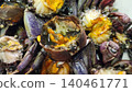 Pickled Salted Black Field Crabs with Orange Roe for Thai Papaya Salad 140461771
