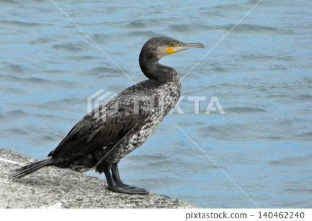 A sharp eye A sharp eye 140462240