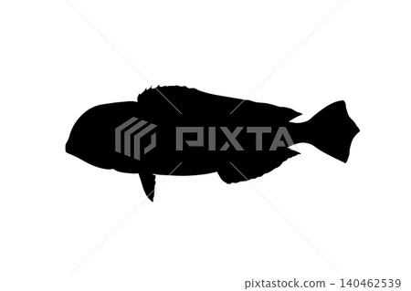 紅鯛魚的剪影插圖 紅鯛魚的剪影插圖 140462539