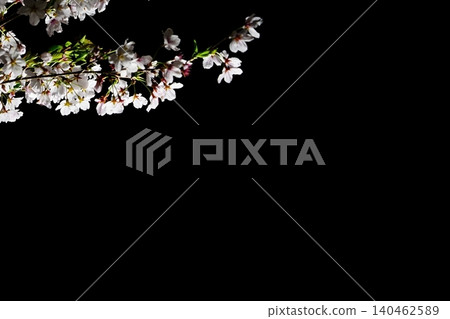 Cherry blossoms floating in the night sky and copy space Cherry blossoms floating in the night sky and copy space 140462589
