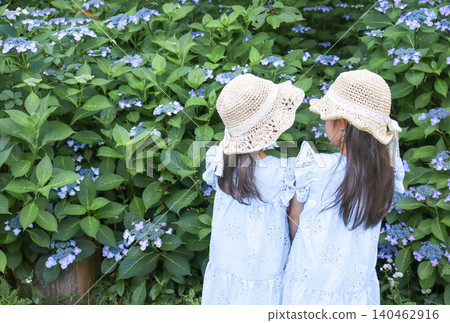 The backs of two sisters in matching outfits, gazing at hydrangeas. The backs of two sisters in matching outfits, gazing at hydrangeas. 140462916